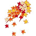 イラストポップ 季節のイラスト秋 11月の無料素材 晩秋 紅葉 どんぐり きのこ