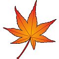 イラストポップ 季節のイラスト秋 11月の無料素材 晩秋 紅葉 どんぐり きのこ