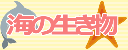 海の生き物のイラスト