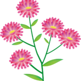 秋の花のイラストno07 イラストポップ